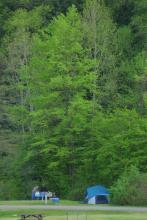 Campground in the Allegheny National Forest Region