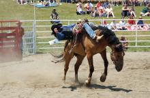 Bucked off at the Ellicottville Rodeo
