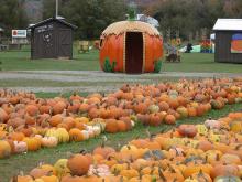 Pumpkin shack at Pumpkinville